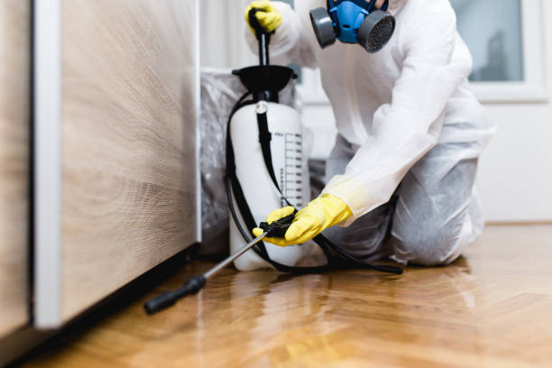 Best Best Pest Control Near Me  in St Charles, MO