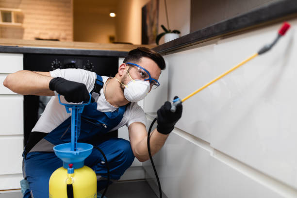 Pest Control Cost in St Charles, MO