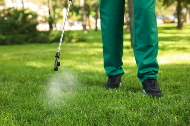 Best Rat Extermination Near Me  in St Charles, MO